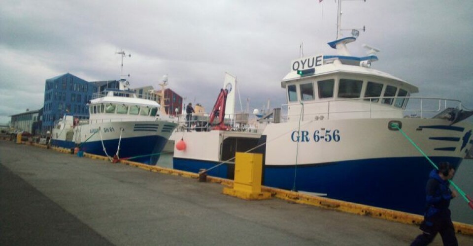 Nybygninger fra Rødbyhavn her fotograferet i Hafnarfjörður nær Reykjavík på Island. ( Nybygninger fra Rødbyhavn her fotograferet i Hafnarfjörður nær Reykjavík på Island. (Foto: Peter Thias)