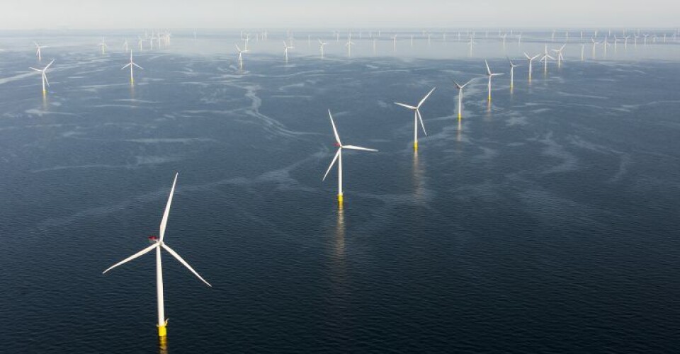 Anholt Havmøllepark. Foto Ørsted