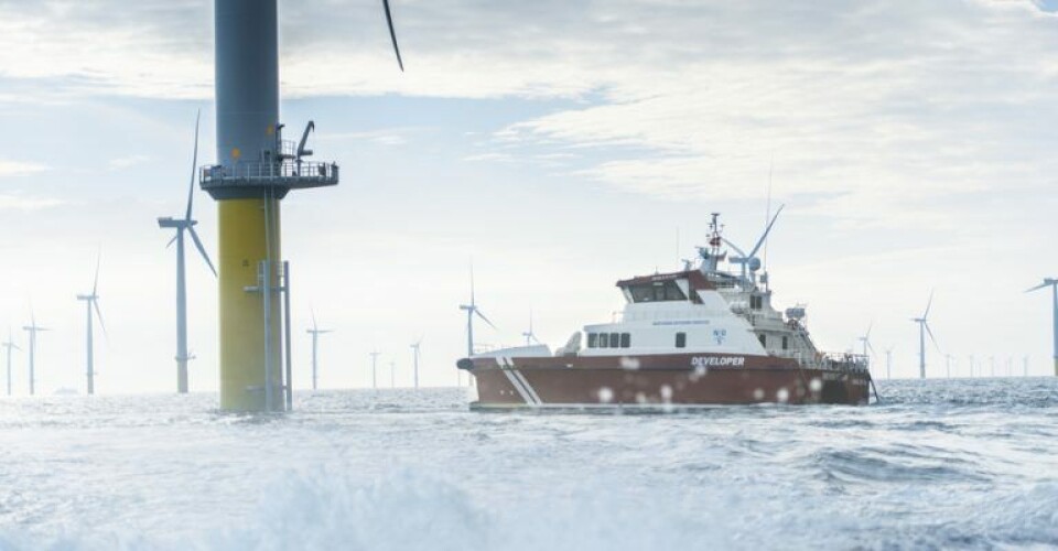 Finanslov gavner skibsfart på flere områder Foto: Danske Rederier