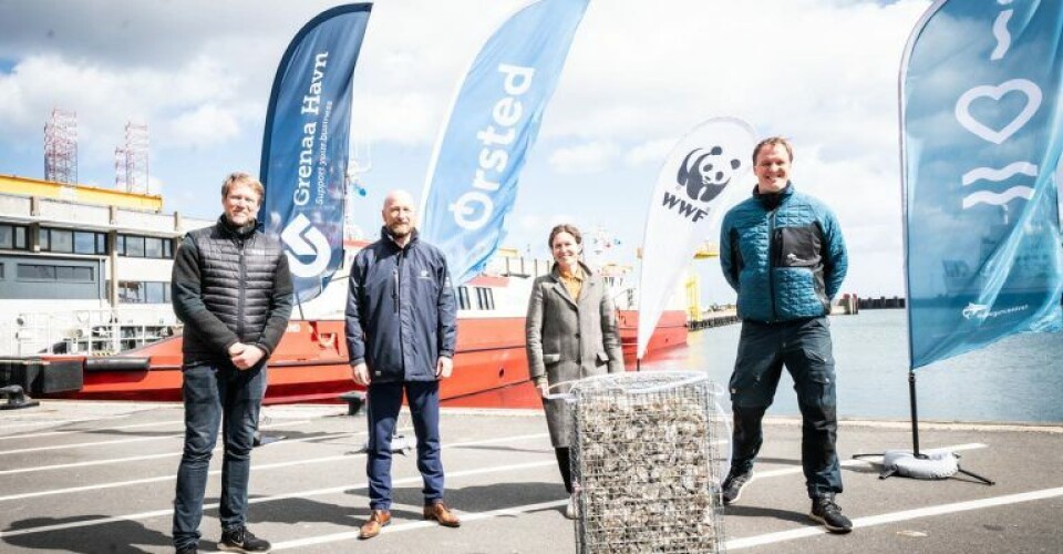 Billede fra lanceringen. Fra venstre Thomas Kirk Sørensen, WWF, Henrik Carstensen, Grenaa Havn, Ida Krabek, Ørsted og Søren Forsberg, Kattegatcentret. Foto: Lars Hestbæk