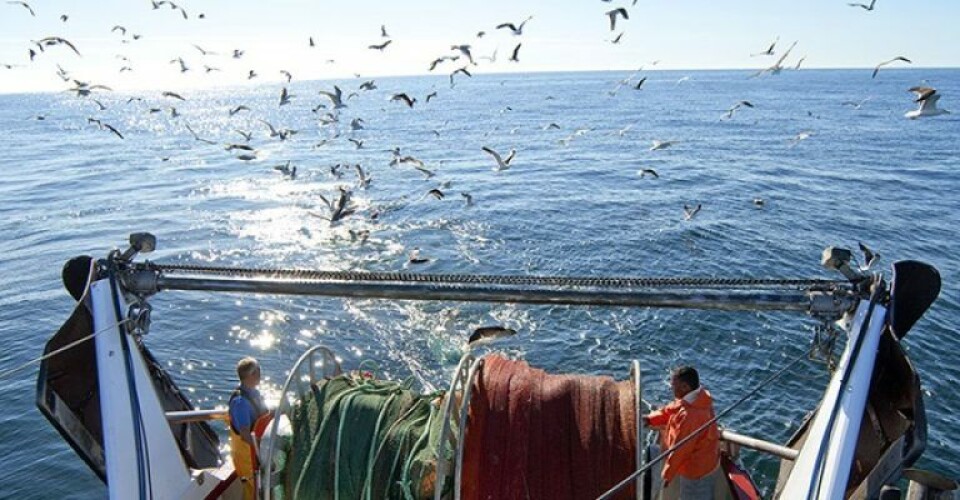 Hver fisk kan kun fanges én gang Fisketrawler.-Foto-DTU-Aqua-1