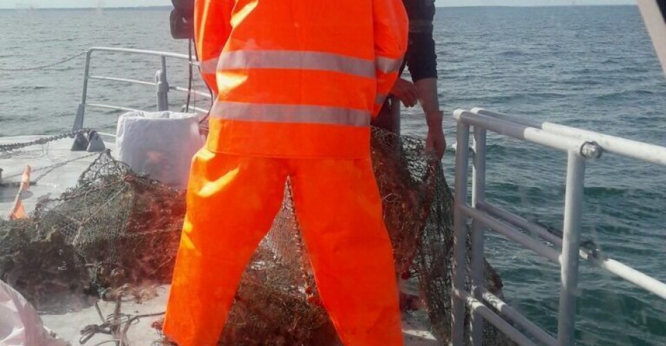 Sæler contra fiskere Foto-Fiskeristyrelsen-Facebook-2-768x768-1