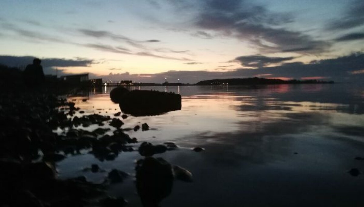 Her er Danmarks nye Biodiversitetsråd