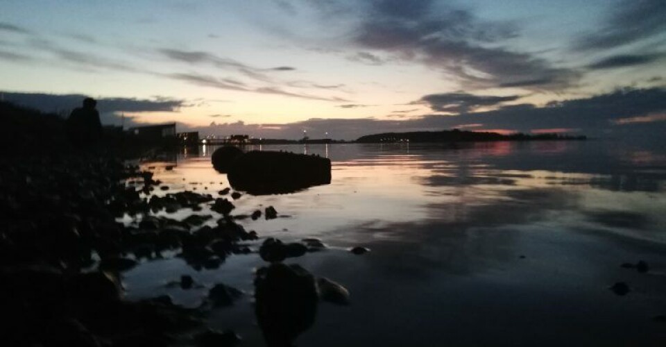 Limfjorden. Foto Stefan Holmager Larsen