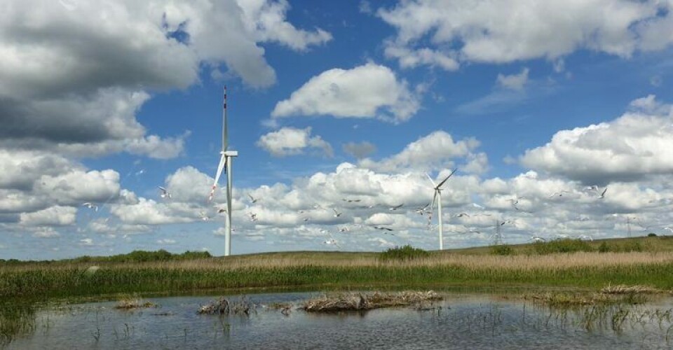 European Energy sikrer finansiering til polske projekter Foto: European Energy A/S