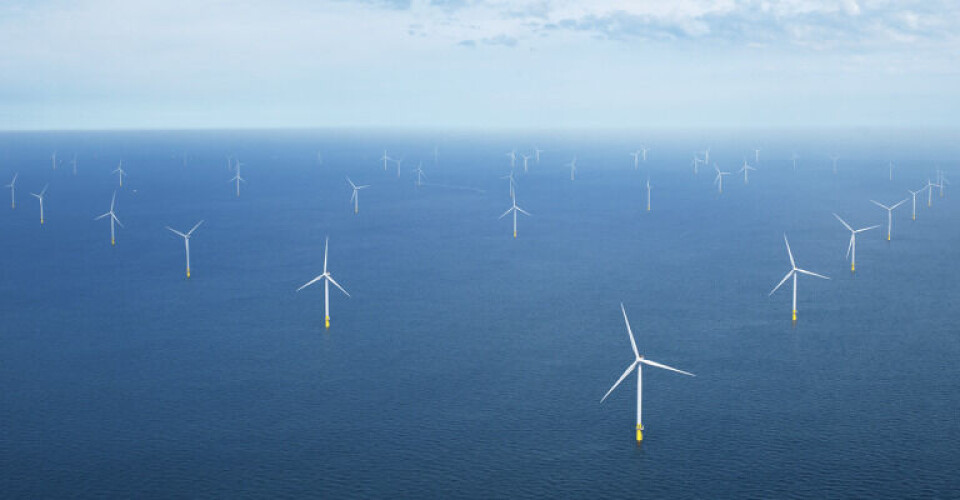 ATP er tidligere gået sammen i et partnerskab med Ørsted med henblik på at indgive et bud i auktionen om den danske energiø i Nordsøen. Foto: Ørsted