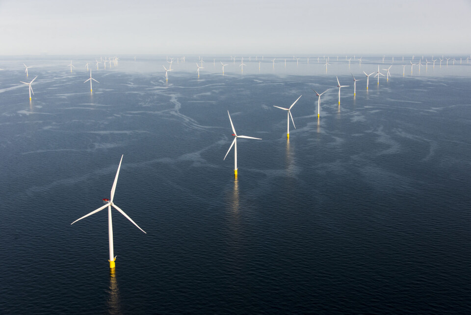 Anholt Havmøllepark. Foto Ørsted