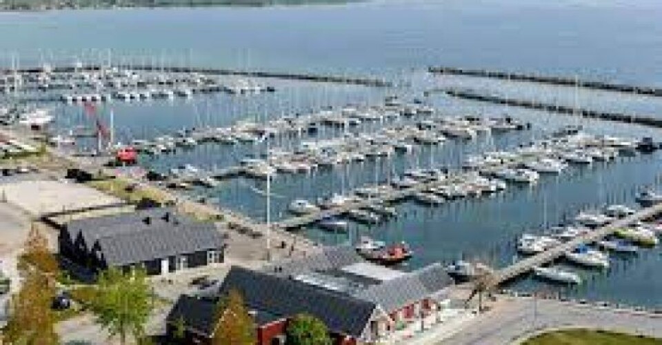 En lang række både har påsejlet sten i Kerteminde Marina. En lang række både har påsejlet sten i Kerteminde Marina. Foto: Facebook