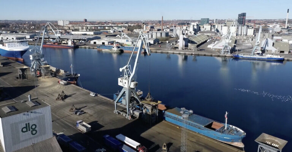 Multiterminalen på Aarhus Havn. Foto: Port of Aarhus