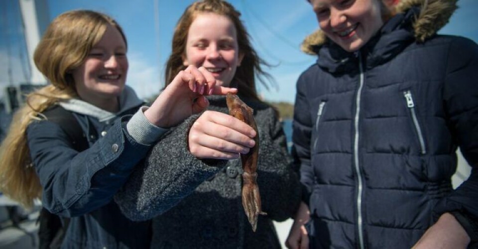 Målet med formidlingstogtet er at få skolebørn til at interesere sig for havmiløet. Foto: Hovedet i Havet