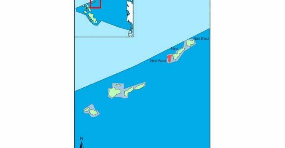 Kort over Nini Wests placering i Nordsøen. Illustration: Energistyrelsen