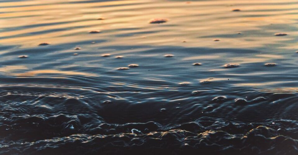 Photo by Kaitlin Duffey/Unsplash Photo by Kaitlin Duffey/Unsplash