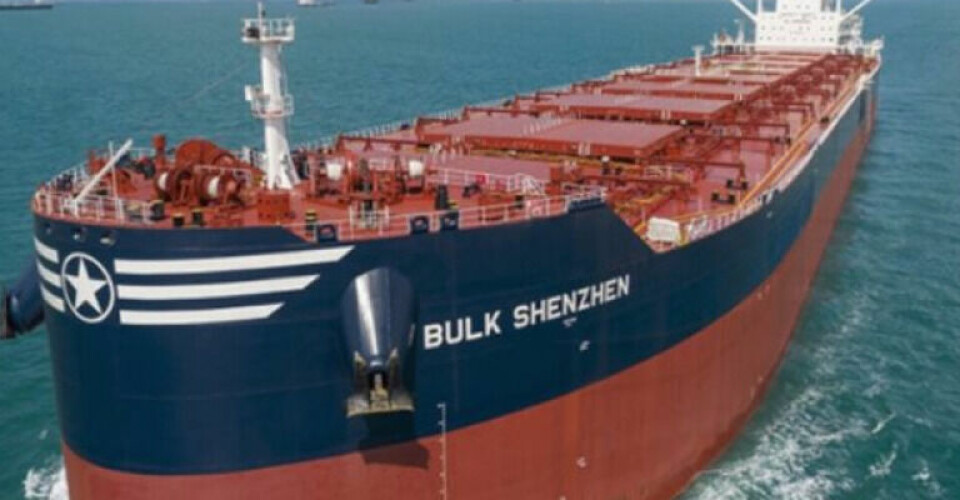 Image: 2020 Bulkers.