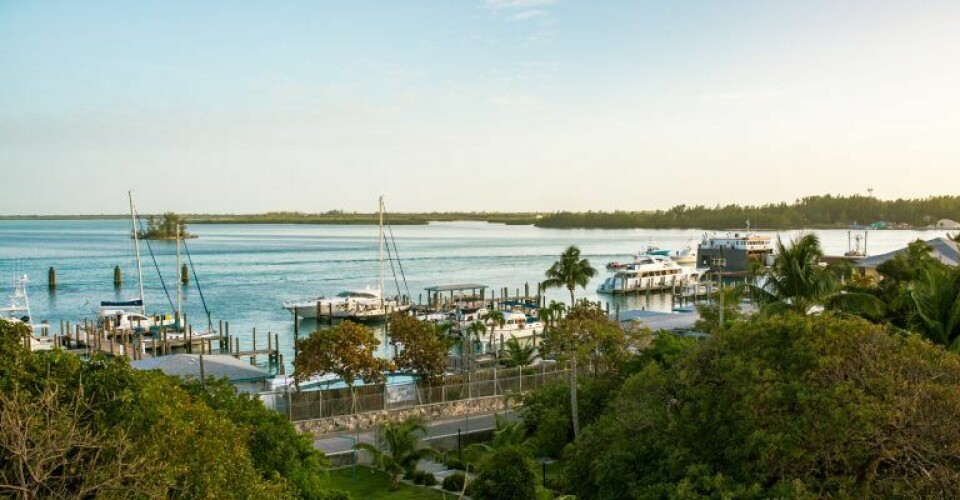 Bimini Harbour Bahamas