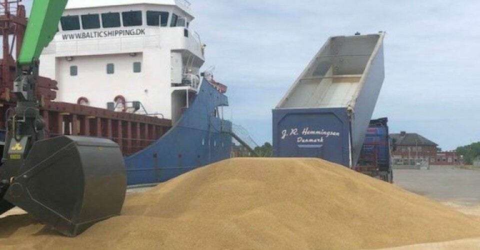 Aftalen kan forhåbentligt betyde, at masser af ukrainsk korn nu kan nå ud til forbrugerneFoto: Danske Havne