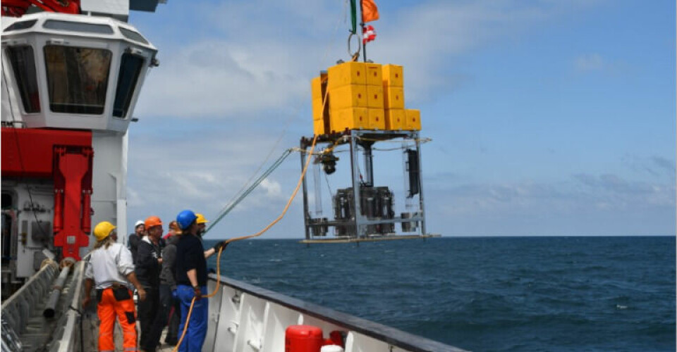 Sedimentprøver hentes op fra dybhavsgrav i Stillehavet. Foto: Anni Glud/SDU