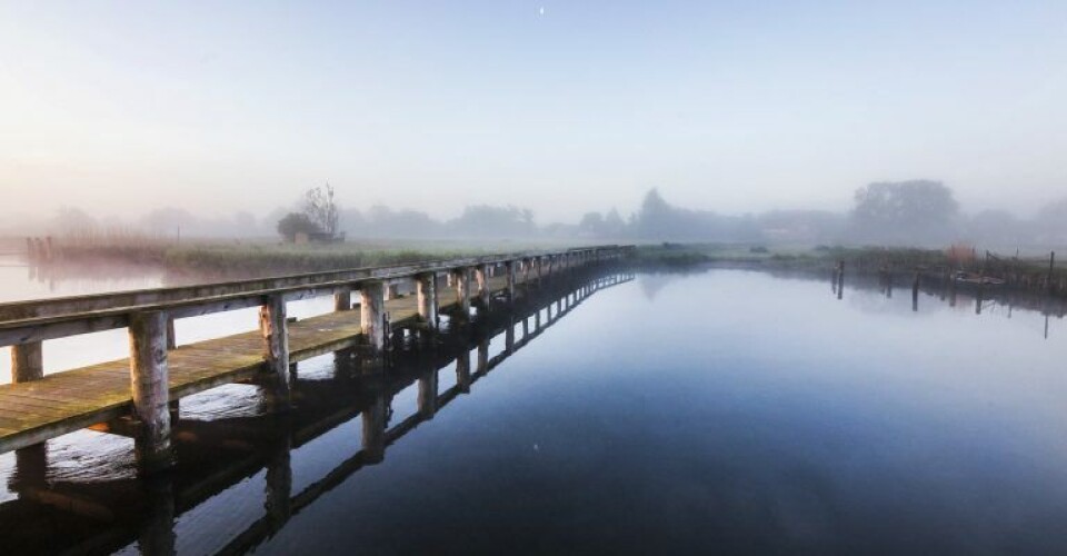 Uggelhuse Naturpark Randers Fjord. Foto: Jesper Rais ©RAISFOTO/ Randers Kommune.