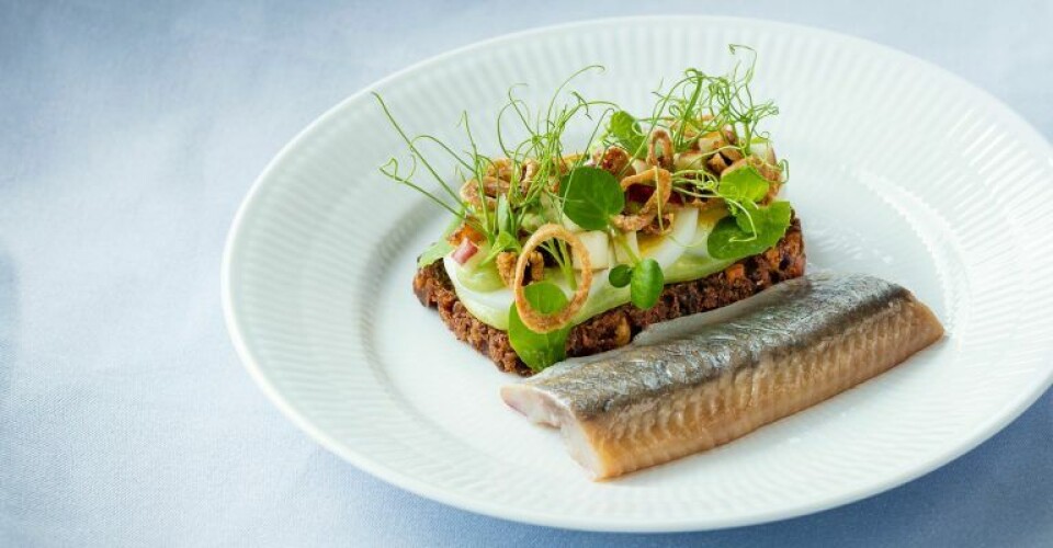 Danskerne skal spise flere fisk rets-sild-1