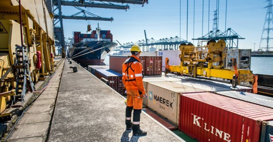 Containertrafikken til Belgiens store havneby Antwerpen har blandt andet oplevet øget smugling af narkotika. Arkivfoto: Antwerpen Harbour