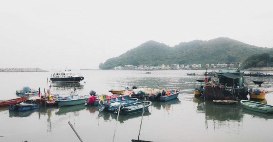 Hong Kong -Photo by Pat Whelen/Unsplash