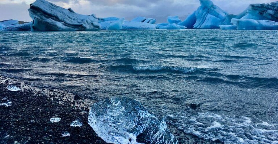 Verdens største isbjerg på kollisionskurs med South Georgia Foto: Agnieszka M, Unsplash.