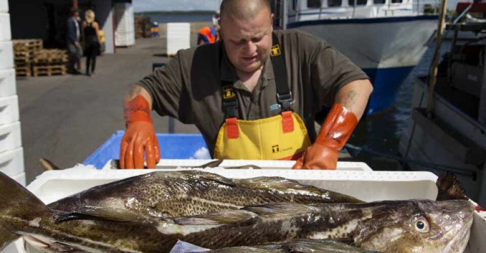 Kystfiskerne mangler fisk Foto: Foreningen for Skånsomt Kystfiskeri Producentorganisation.