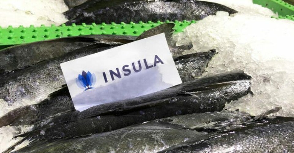 Insula lukker fabrik i Hanstholm – Flytter produktionen til Hvide Sande Insula-Hvide-Sande.-Arkivfoto-Insula