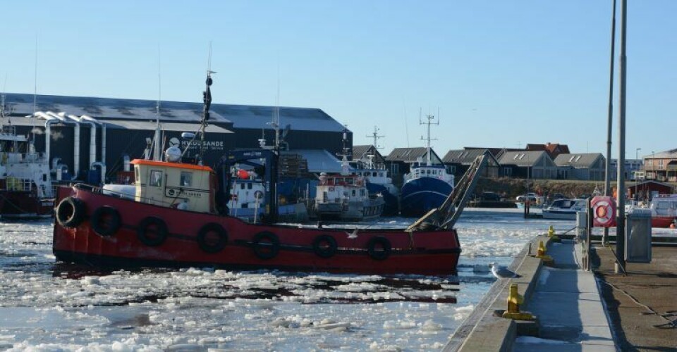 •	Isbryder i Hvide Sande: I fisker og værftsbyen Hvide Sande, er det Hvide Sande Ship Yards mulifunktionsskib ”Helle” der i disse dage slår isen i stykker. Skibet, der bl.a. bruges til nivellering af havnebassinerne, blæser isen ind i slusekamrene. Her lukkes isen ud med strømforholdene til Vesterhavet. (Foto: Jens Nørgaard)