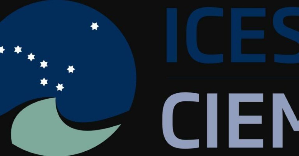 ICES skal rådgive Storbritannien Udklip-1-1