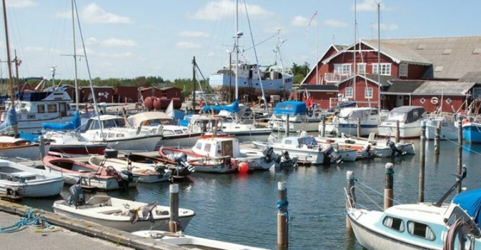 Ålbæk Havn. Foto: Frederikshavn Kommune