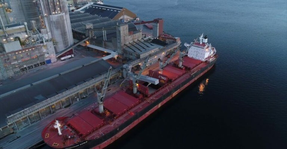 Eagle Bulk Shipping har I alt 54 skibe i sin flåde. På billedet ses Greenwich Eagle. Foto: Eagle Bulk Shipping