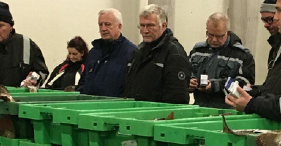 Nordjysk fiskemarked er stabilt trods nedlukning auktion