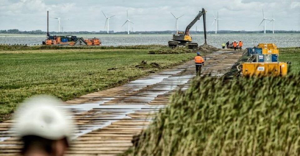 Energinet udpeger foretrukken rådgiver til anlægsarbejde Foto: Energinet / Red Star