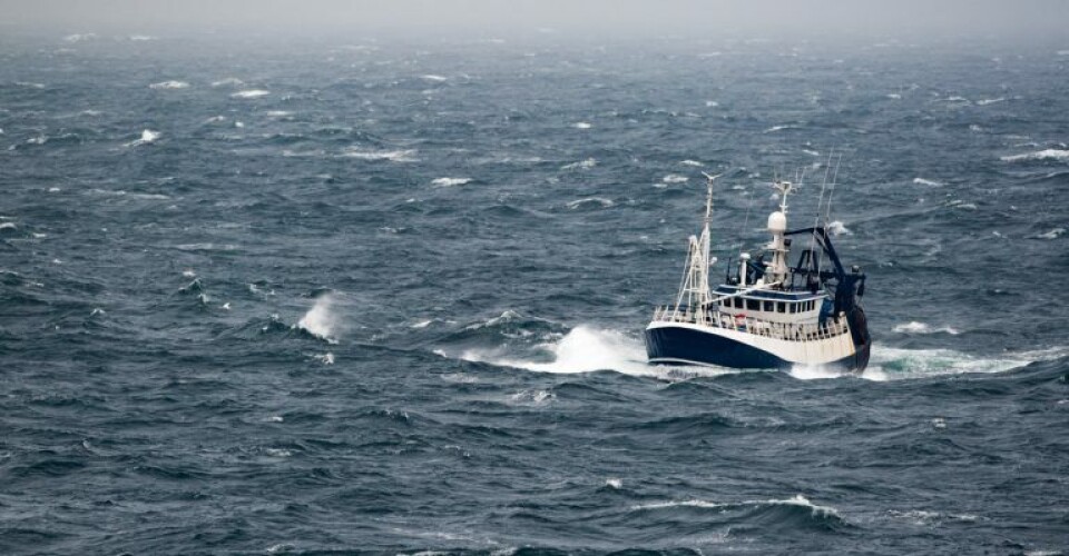 Fiskeristyrelsen opdaterer vejledninger om landingspligt Trawler-stock