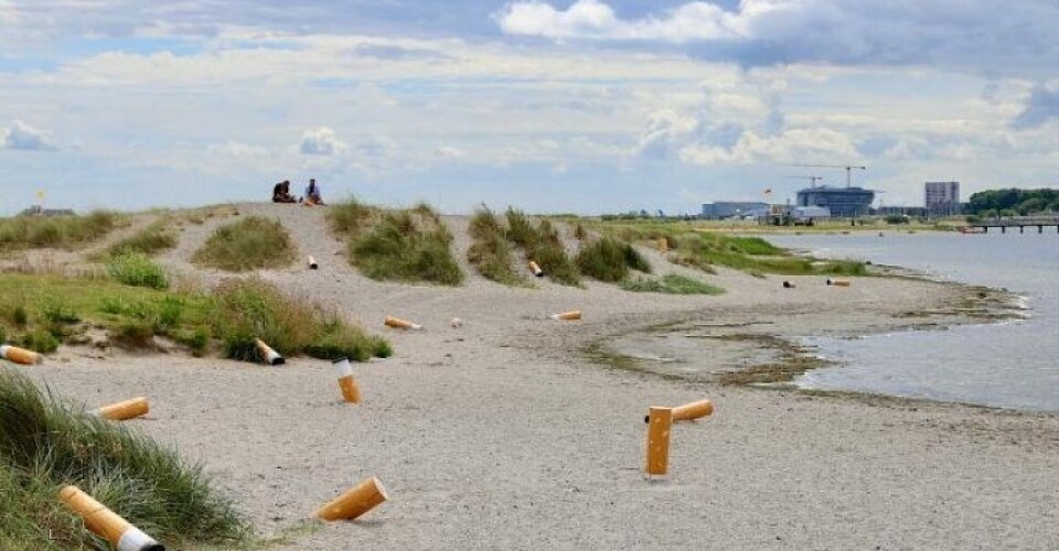 Skader vandmiljøet: Cigaretskod skal i skraldespanden – ikke i naturen Foto: Miljø- og Fødevareministeriet