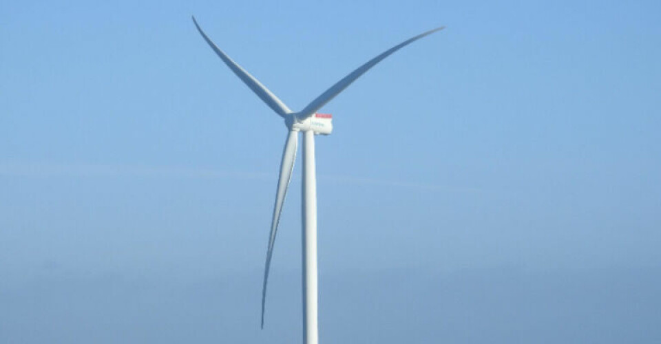 Billede af 7 MW vindmølle i Nissum Bredning – samme type opføres på Sydhavnen i Thyborøn. Foto: Thyborøn Sydhavns Møllelaug