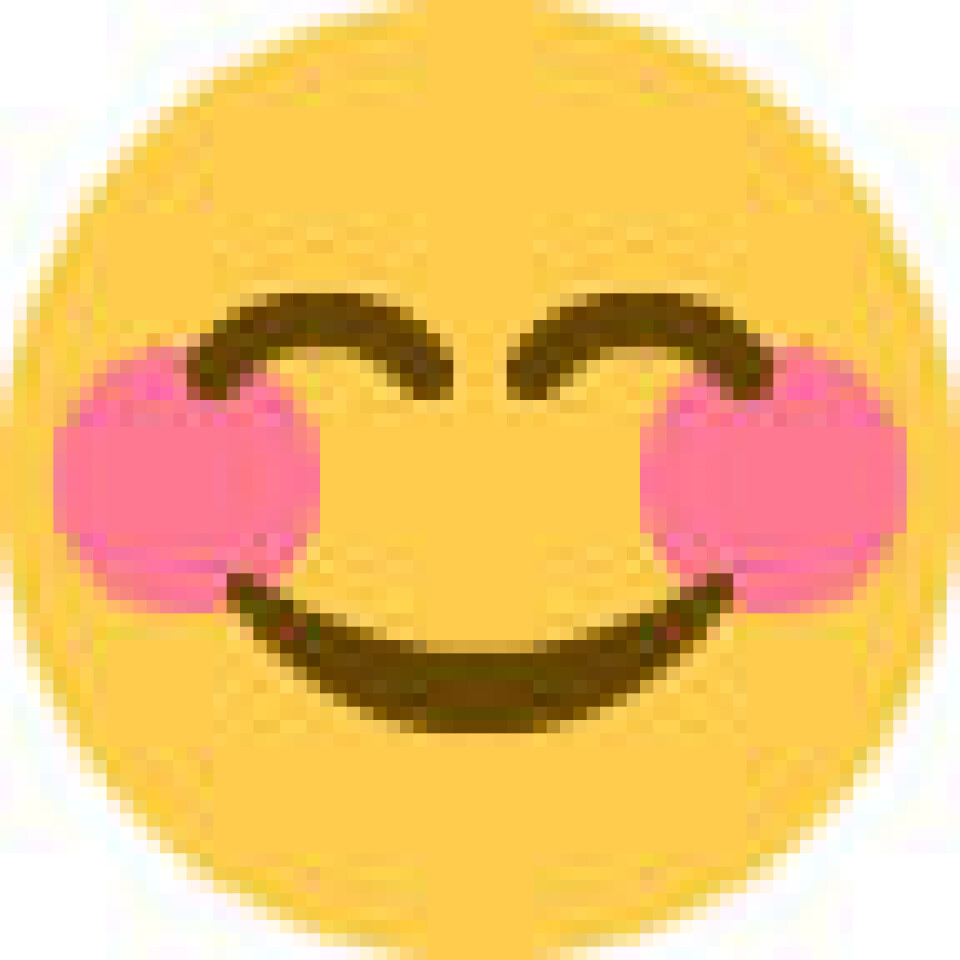 Ministerrokade – Det Blå Danmark sender tak til afgående ministre 😊