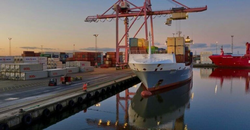 Et containerfeederskib losser i Aalborgs Østhavn.Foto: Port of Aalborg