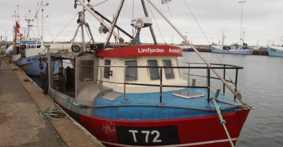 limfjorden.1201-768x576-1