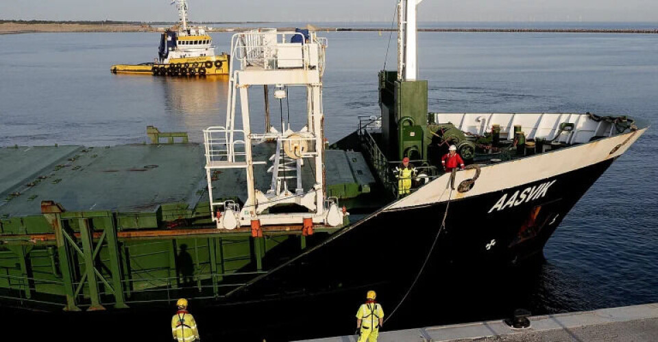 Her ankommer første fragtskib til arbejdshavnen. Foto: Femern A/S