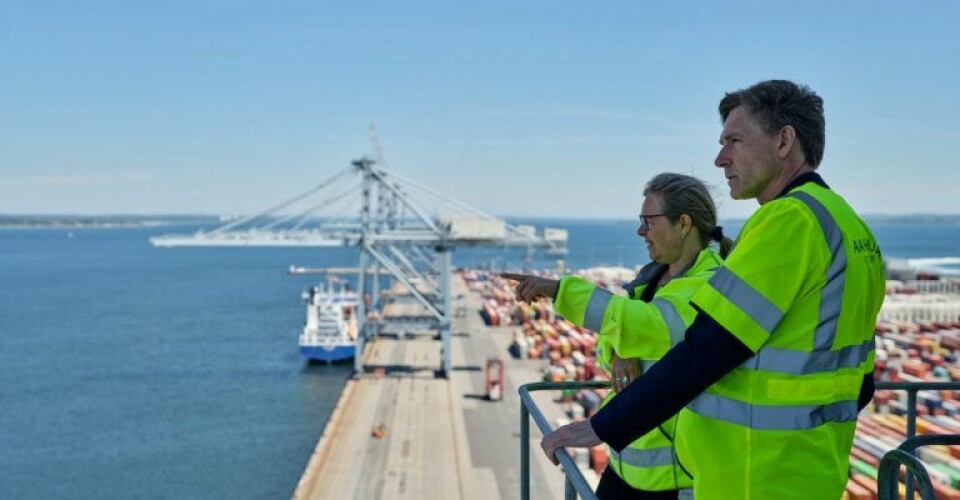 COO Anne Zachariassen, Aarhus Havn, her med DF-politikeren Kristian Thulesen Dahl i mobilkran på containerkajen. Arkivfoto: Aarhus Havn