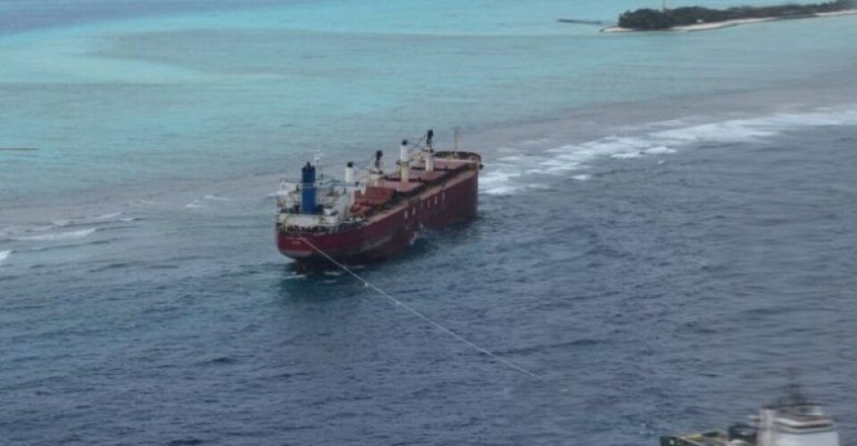 Amaryllis re-floated. Image: MNDF.