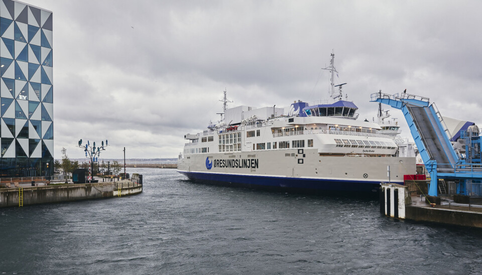 Elfærgen Tycho Brahe.