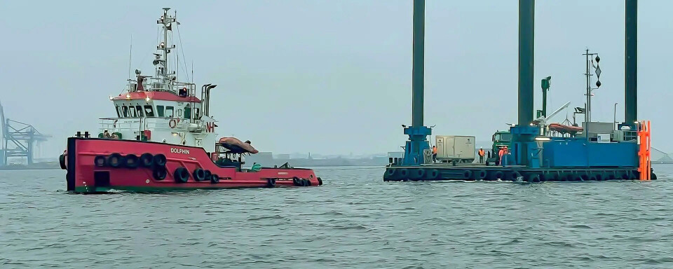 Dolphin jack 5 2