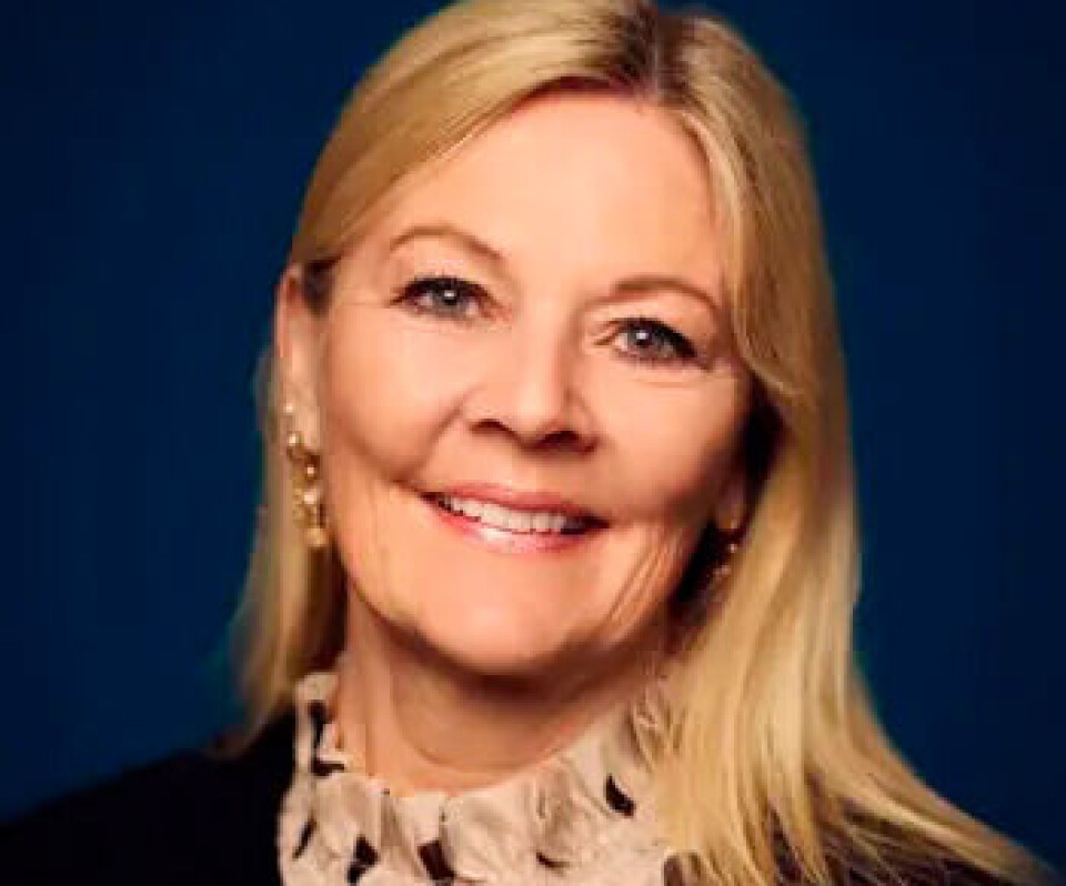 Anne Windfeldt Trolle - Danske Rederier - Direktør Arbejdsmarked Rekruttering og Uddannelse